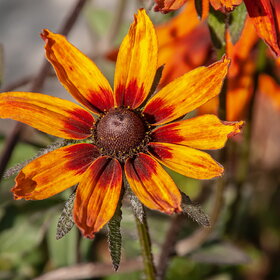 �������