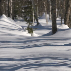 ���������� �� �����������