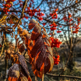 �������