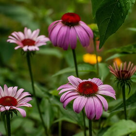 �������