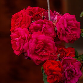 �������