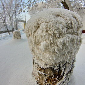 �������