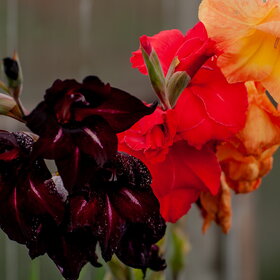 �������