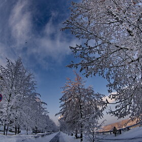 �������