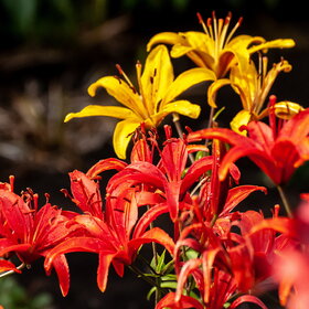 �������