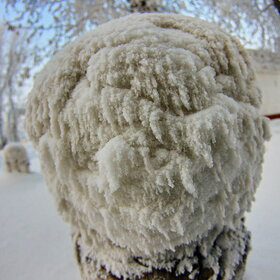 �������