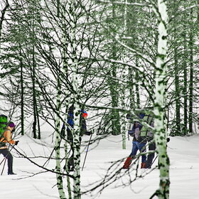 ���������� �� �����������