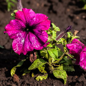 �������