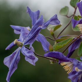 �������