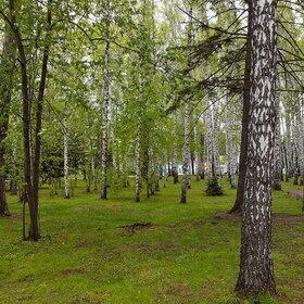 �������