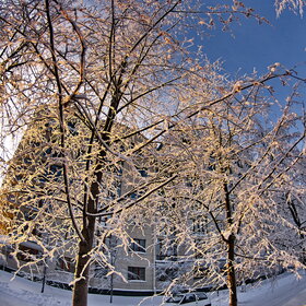 �������