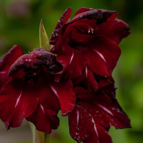 �������