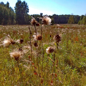 �������