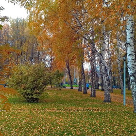 �������