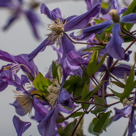 �������