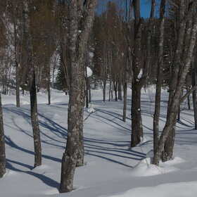 ���������� �� �����������