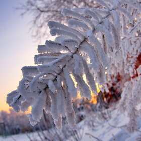 �������