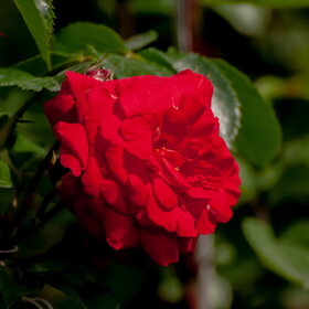 �������