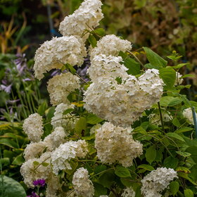 �������