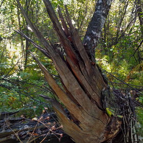 �������