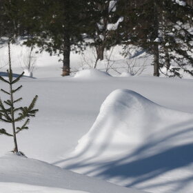 ���������� �� �����������