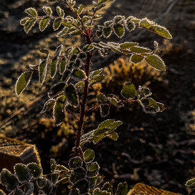 �������