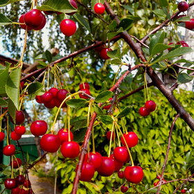 �������