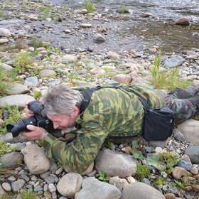 ���������� �� �����������