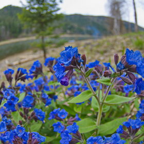 �������