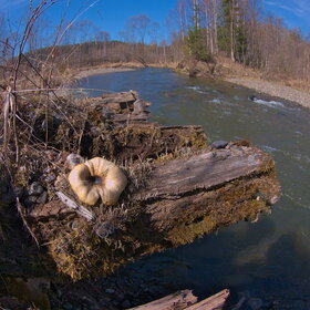 �������