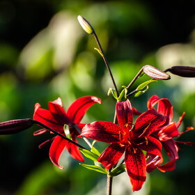 �������