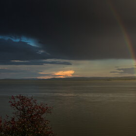 �������