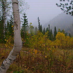 ���������� �� �����������