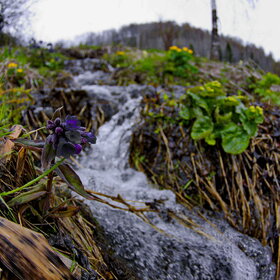 �������