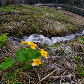 �������