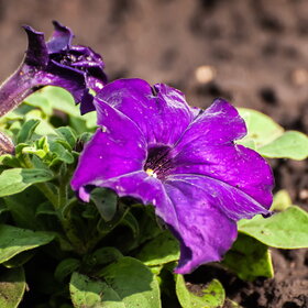 �������