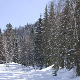 ���������� �� �����������