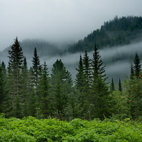 ���������� �� �����������