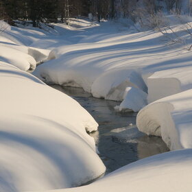 ���������� �� �����������