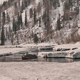 ���������� �� �����������