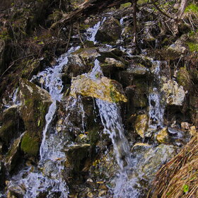 �������