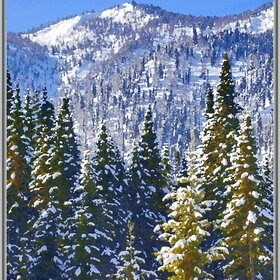 ���������� �� �����������