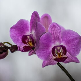 �������