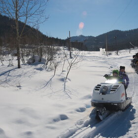 �����������