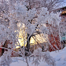 �������