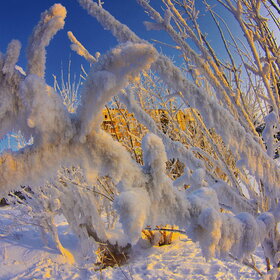 �������