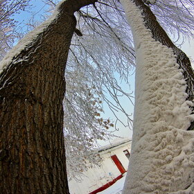 �������