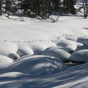 ���������� �� �����������