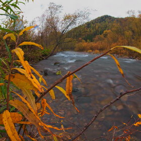 ���������� �� �����������