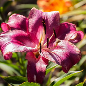 �������